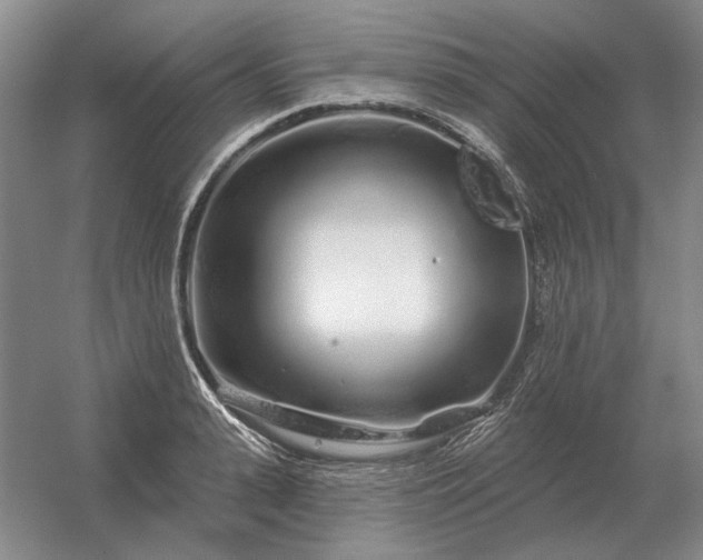 X0000056370943200509021810