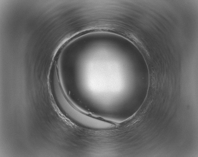 X0000056370944200509021810