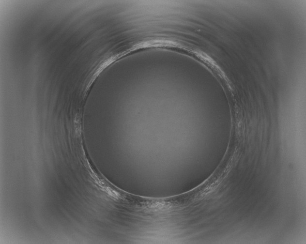 X0000056370945200509021810