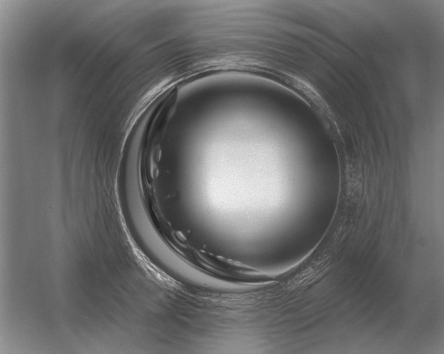 X0000056370946200509021810