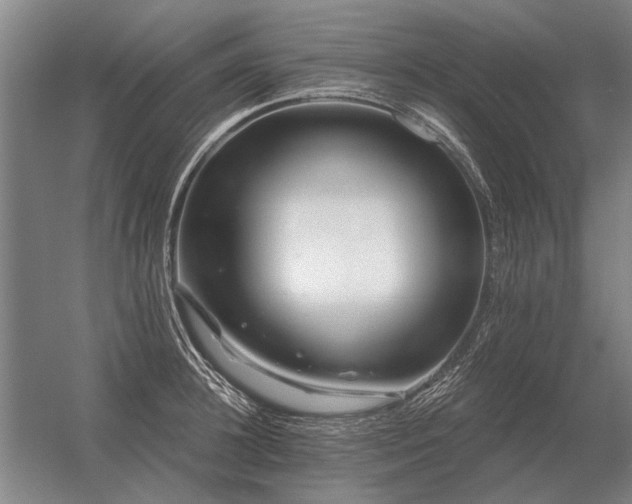 X0000056370948200509021811