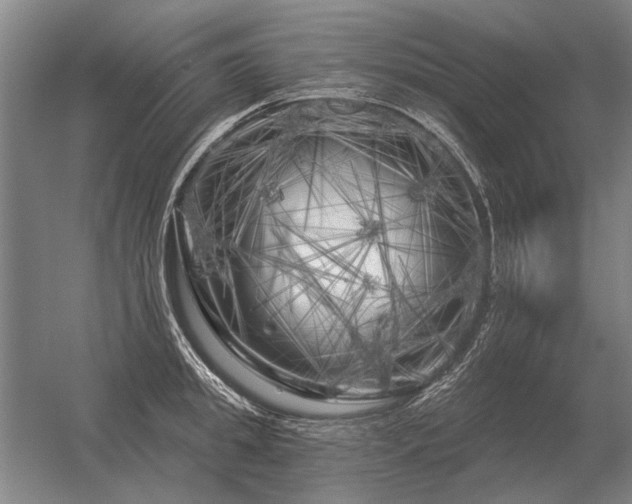 X0000056370949200509021811