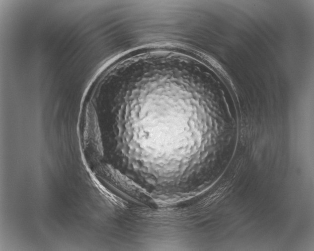 X0000056370951200509021811