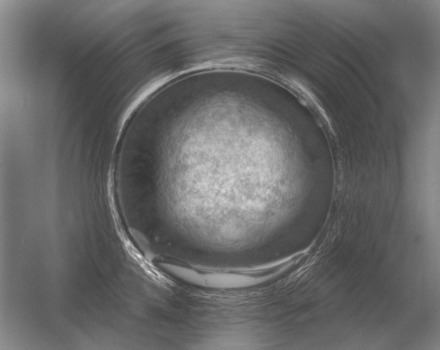 X0000056370952200509021811