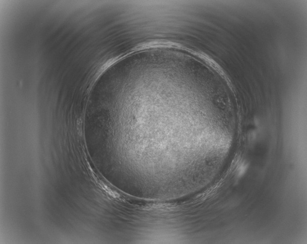 X0000056370953200509021811