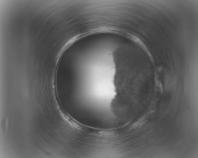 X0000056370954200509021811