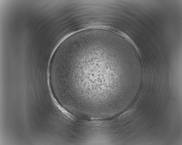 X0000056370955200509021811