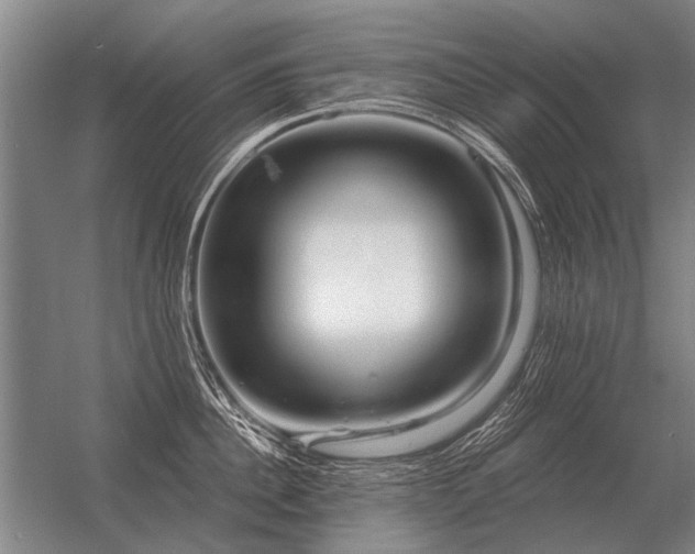 X0000056370956200509021811