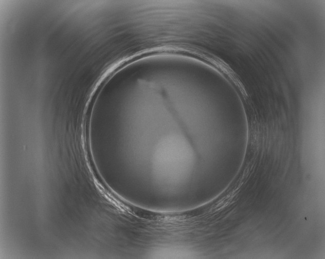 X0000056370958200509021811