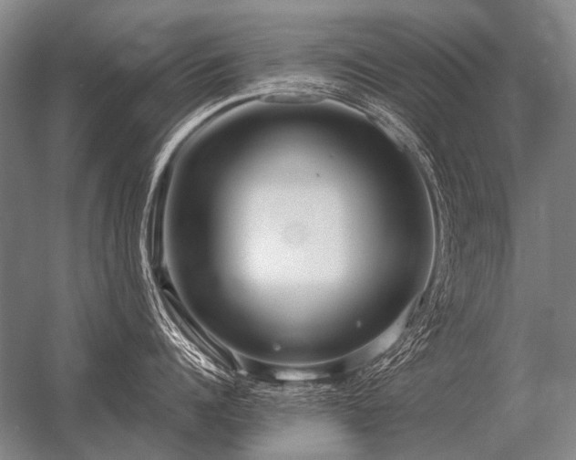 X0000056370960200509021811