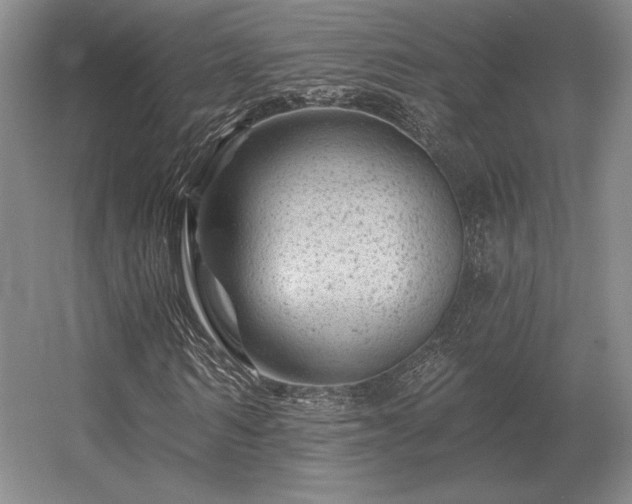 X0000056370962200509021810