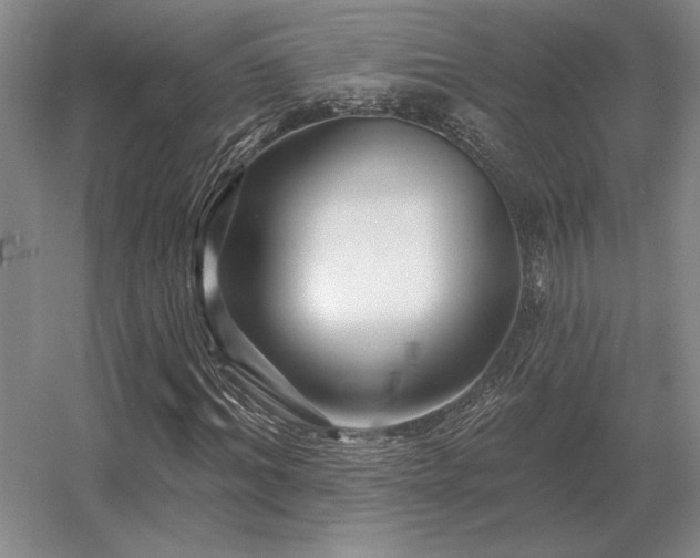 X0000056370964200509021810