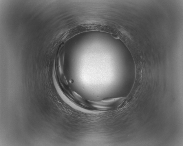 X0000056370965200509021810