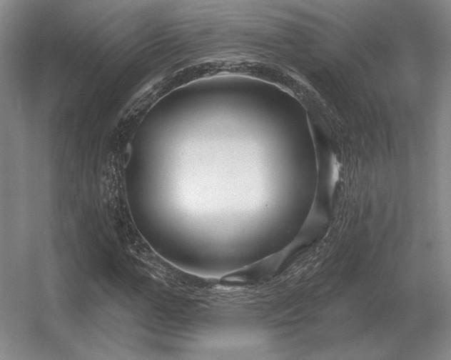 X0000056370967200509021810