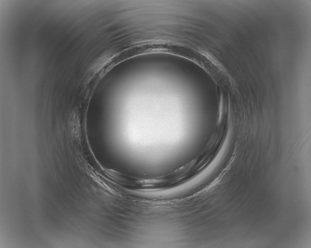 X0000056370969200509021810