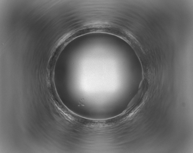 X0000056370970200509021810