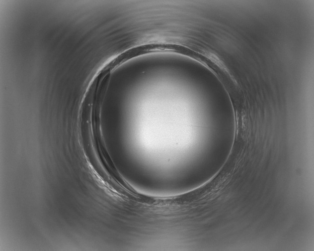 X0000056370972200509021810