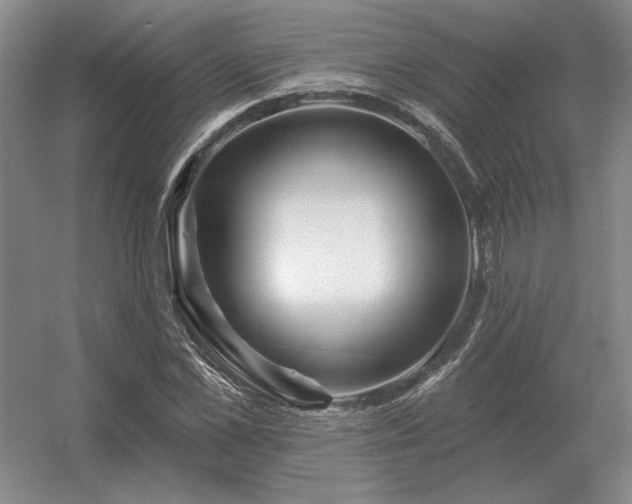 X0000056370973200509021810