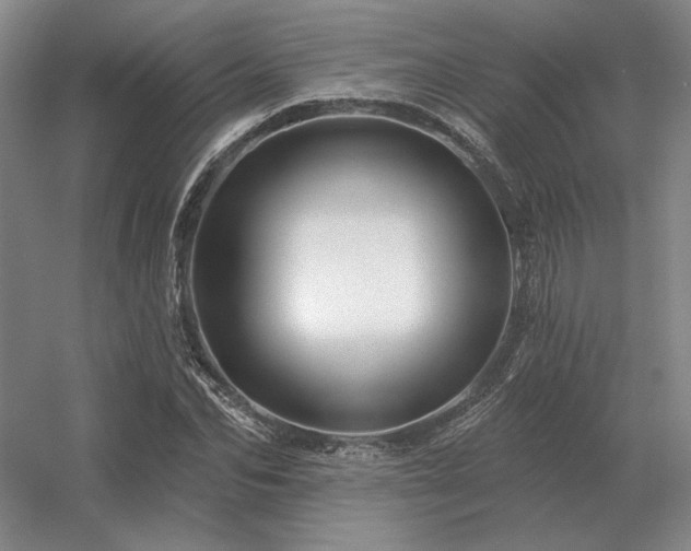 X0000056370974200509021810