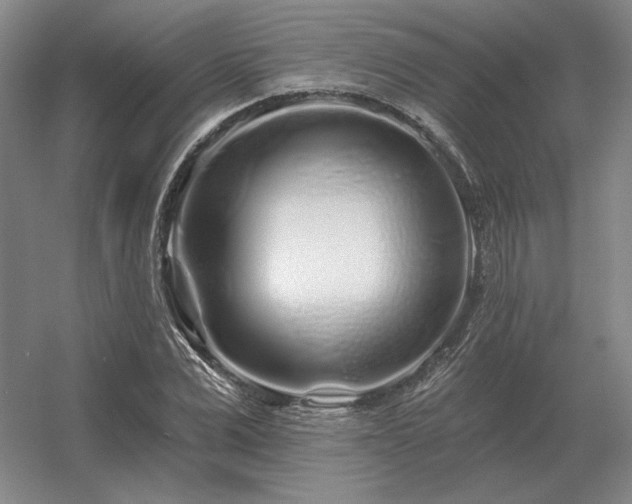 X0000056370975200509021810