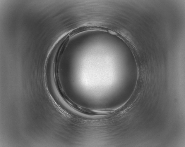 X0000056370976200509021810