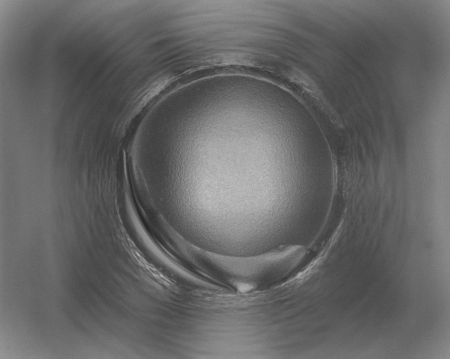 X0000056370977200509021810