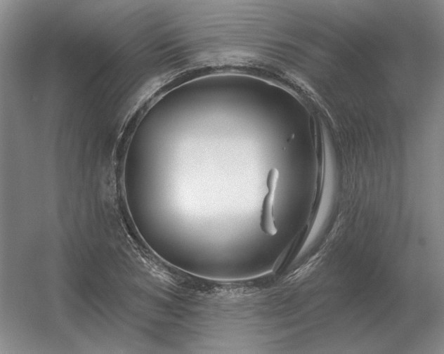 X0000056370978200509021810