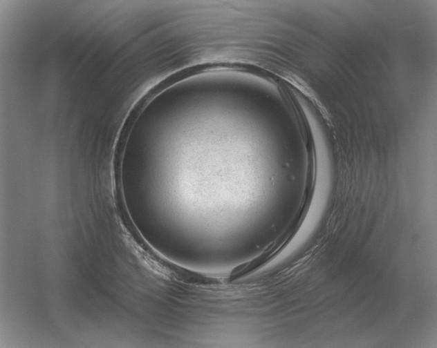 X0000056370980200509021810