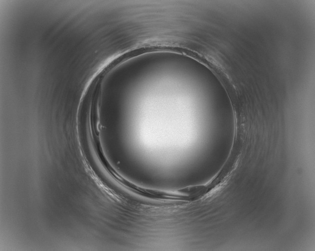 X0000056370981200509021810