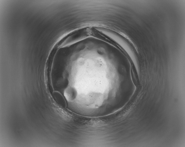 X0000056370983200509021810