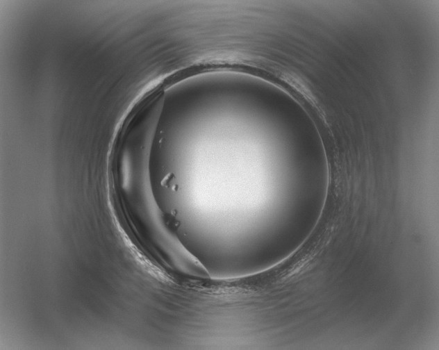 X0000056370984200509021810