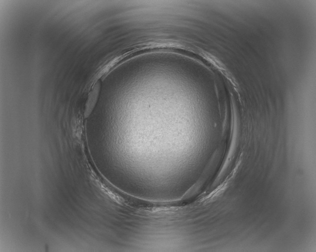 X0000056370985200509021809