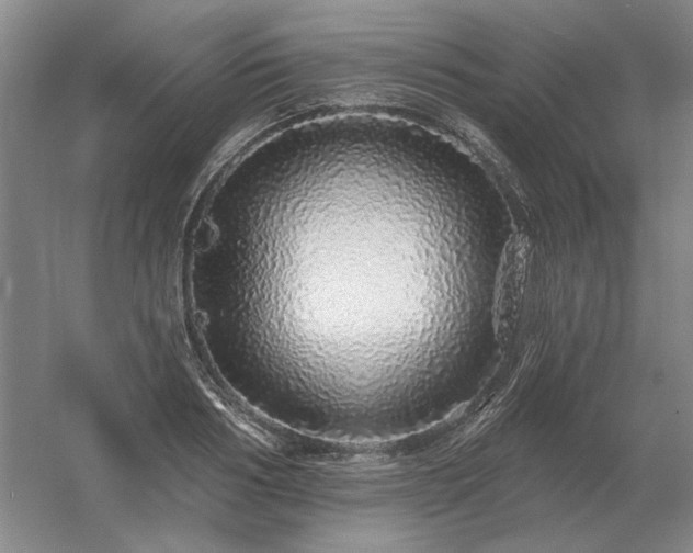 X0000056370986200509021809