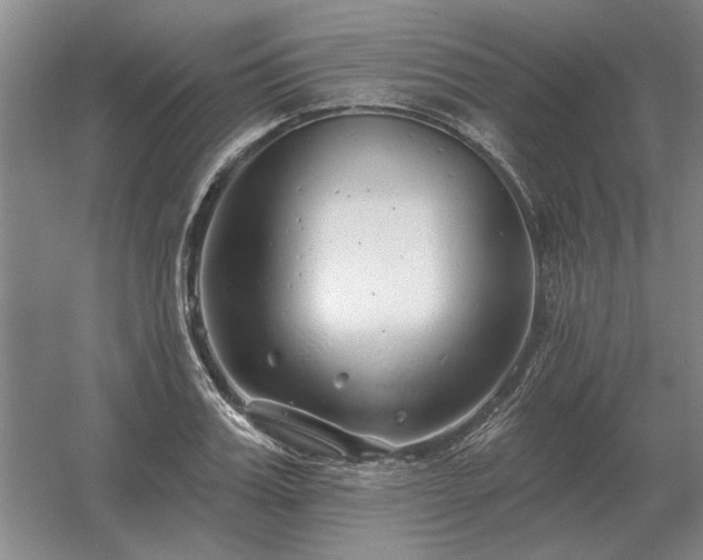 X0000056370987200509021809