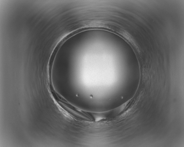 X0000056370988200509021809