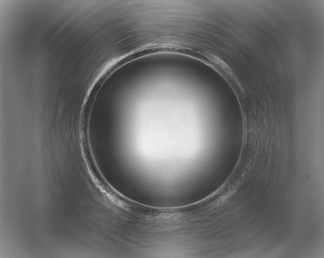 X0000056370989200509021809