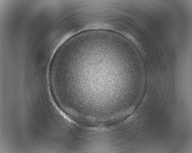 X0000056370990200509021809