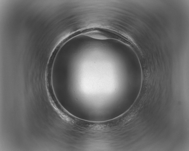 X0000056370991200509021809