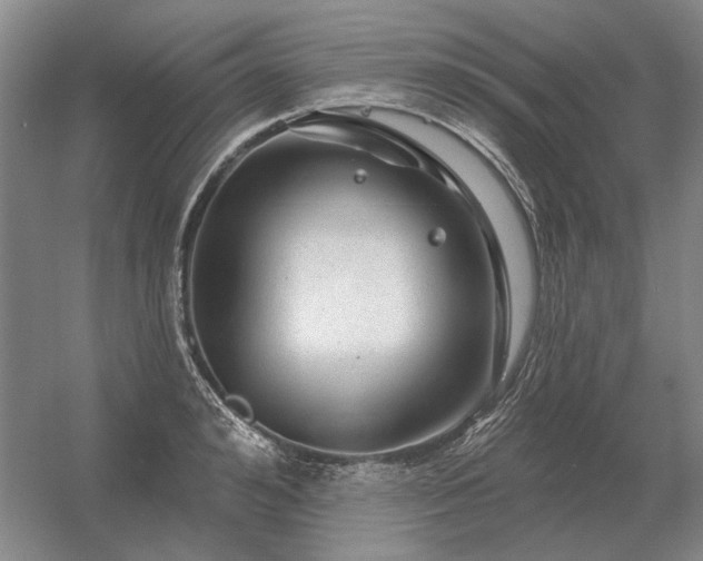 X0000056370992200509021809