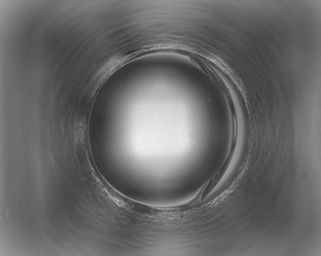 X0000056370993200509021809