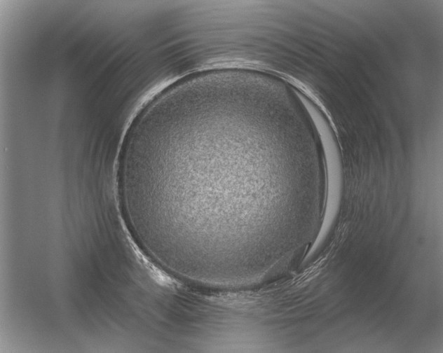 X0000056370995200509021809