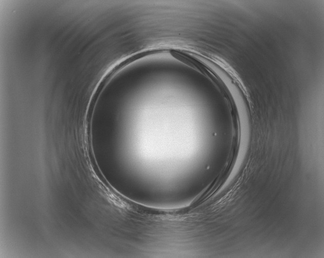 X0000056370996200509021809