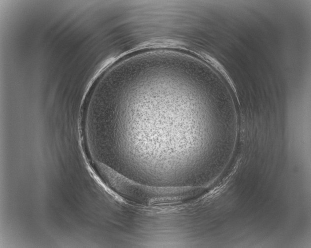 X0000056370997200509021809