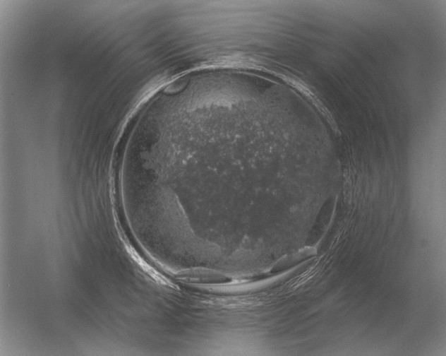 X0000056370998200509021809