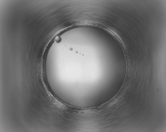 X0000056371000200509021809