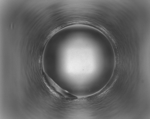 X0000056371001200509021809