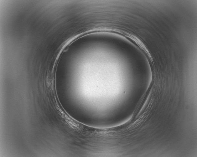 X0000056371004200509021809