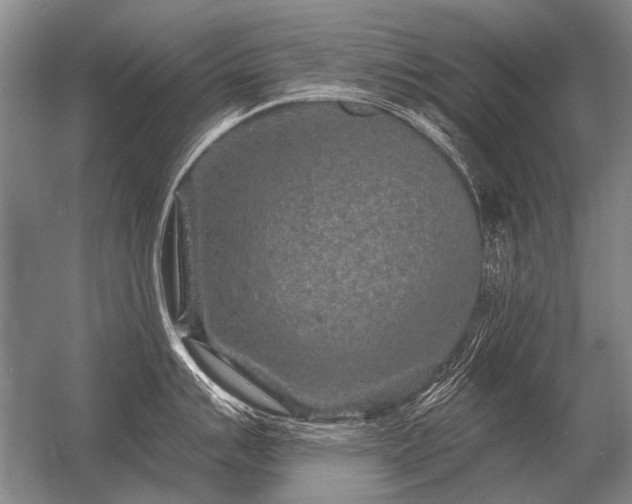 X0000056371007200509021809