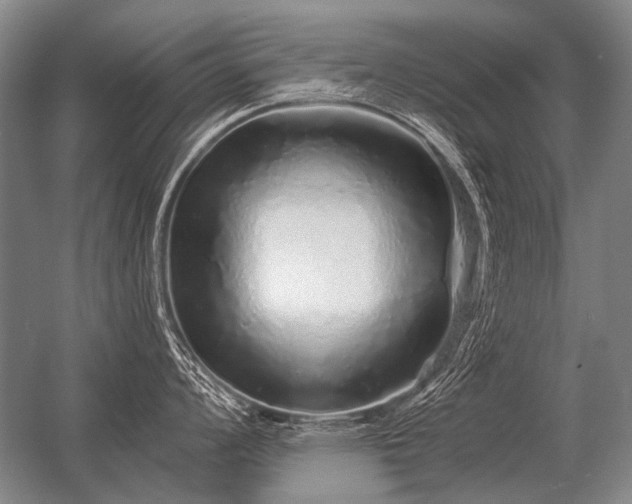 X0000056371008200509021809