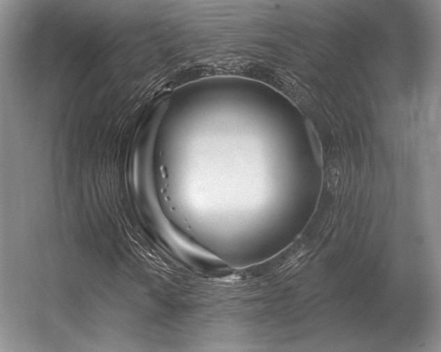 X0000056371010200509021808